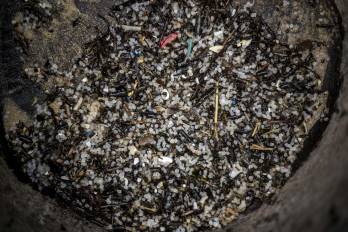 Detalle de los pellets de plástico recogidos por los operarios contratados por Tragsa en la playa de Seiras (Porto do Son), A Coruña, después de que el buque 'Toconao', con bandera de Liberia, perdiera 26.250 kilos de estas diminutas bolitas frente a las costas portuguesas.