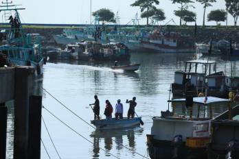 Este escenario golpea principalmente a la pesca ribereña, realizada en menos de cinco millas de la costa.