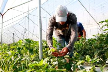 Entre enero y diciembre de 2025, el BDA recuperó $38.6 millones en capital y $3.4 millones en intereses, según la Gerencia de Crédito de la entidad.