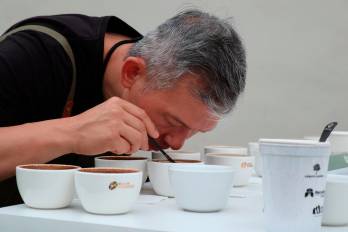 Panamá tiene el precio más alto en el mundo en subasta electrónica de café, con $10.013 por kilogramo en 2024.
