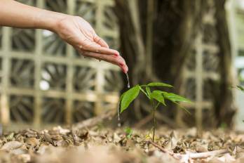 La tecnología verde ayuda al ahorro de agua con los sistemas de riego controlado.