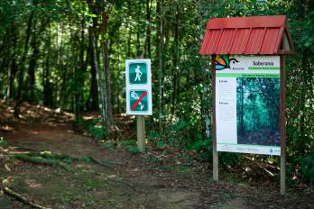 Las actividades realizadas dentro de las áreas protegidas deberán ajustarse a los principios de Basura Cero.