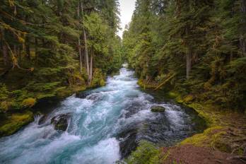 Restaurar las cuencas: una respuesta natural a la crisis del agua
