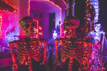 Prepárate para un Halloween lleno de color y originalidad.