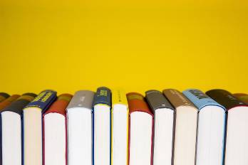 La calidad y la diversidad de los novelistas panameños ha ido aumentando con los años.