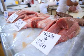 Desde 2017 mediante el decreto 126 es obligatorio que todas las embarcaciones palangreras, con las que se pesca el atún, usen monitoreo satelital