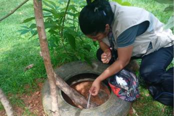 Las autoridades sanitarias instaron a la población a mantener las medidas de prevención, principalmente la eliminación de criaderos del mosquito Aedes aegypti, transmisor del dengue.