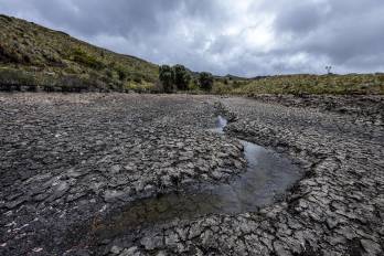 El año pasado fue el más cálido del que se tiene registro en la región, señaló el informe