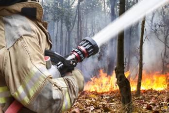 Ante este panorama, el Cuerpo de Bomberos reitera su llamado a la prevención ciudadana.