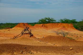 Panamá ha identificado 31 zonas críticas y planea reforestar.