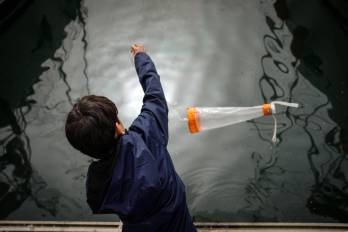 Un niño recoge agua del Port Vell en una de las actividades que con motivo de la Conferencia del Decenio del Océano de la Unesco.