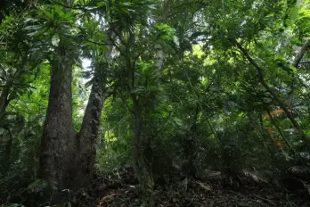 El incumplimiento de estas normas será considerado una falta administrativa sancionable.