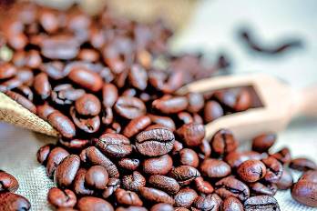 El sector cafetero es considerado sensitivo para la economía panameña.