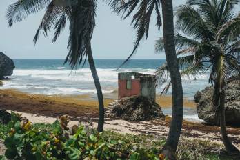 El Niño extremo ¡del calentamiento del Pacífico a sus impactos en Panamá!