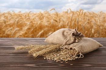 Las proyecciones climáticas apuntan a más sequías y menos lluvias que amenazarán el acceso a alimentos en la región durante 2026-2027.