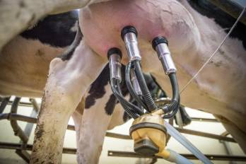 La nueva planta de procesamiento de alimentos para animales contribuirá en la producción lechera del país.