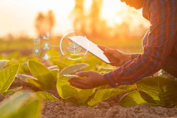 La productividad del sector agrícola depende cada vez más del acceso a tecnología, financiamiento e innovación para los pequeños productores.