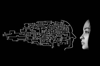 El crepúsculo de los hechos