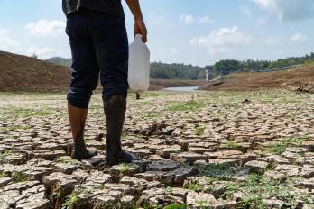 El Niño travieso en el agro