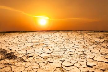 El Retorno De El Niño - La Resiliencia Empresarial Como Imperativo Económico