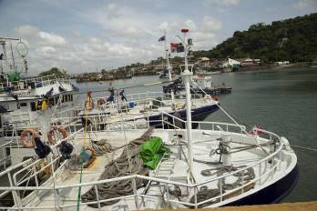 El puerto de Vacamonte registra el mayor movimiento, con 5.569.980 libras de enero a mayo de 2025, cuando en igual periodo de 2024 registró 10.241.859 libras.