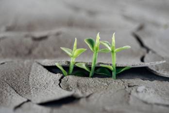 Finanzas ante el clima: El imperativo de la resiliencia proactiva