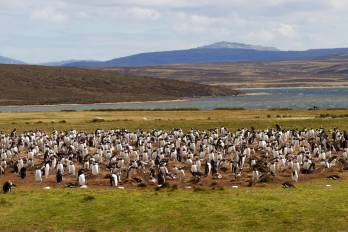 Malvinas: la fuerza de una causa justa
