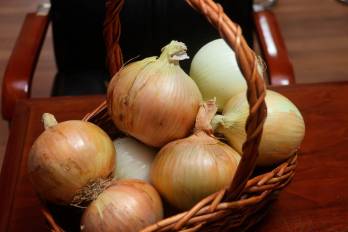 En Panamá, el consumo mensual es de 50,000 quintales de cebolla.