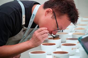 Durante la edición del 2023, una empresa de Nueva Zelanda pagó por la libra de café geisha $4,538.19.