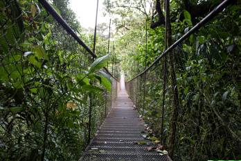 Puente colgante, Boquete Trek, Chiriquí, Panamá.