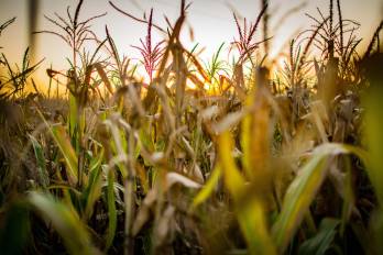 Una décima de grado puede parecer insignificante; en términos climáticos, no lo es