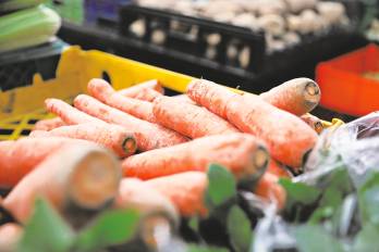 Productores temen alza de precios con la llegada del Fenómeno de El Niño