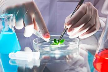 Los hallazgos ofrecen beneficios concretos como la sensibilización de consumidores en el acceso a información sobre envases y riesgos.