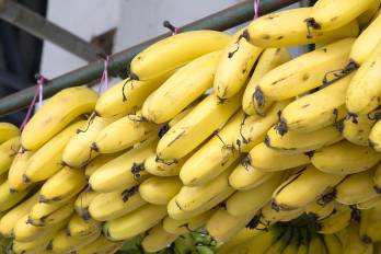 Chiquita en noviembre de 2025 había iniciado la firma de contratos directos con miras al reinicio de la producción y exportación de fruta en enero de 2026, y con la meta de contar con 5 mil trabajadores en febrero.