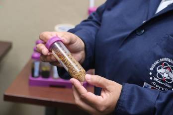 La larvas de la mosca Cochliomyia hominivorax deposita sus huevos en heridas abiertas de mamíferos, aves y, en raras ocasiones, en personas.