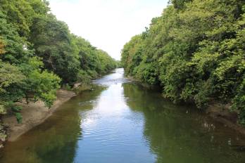 La denuncia plantea contaminación por barriadas, promotoras y porquerizas irregulares.