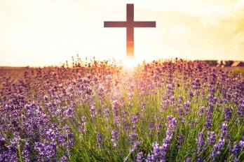 Reflexiones y comentarios sobre temas agrícolas en Semana Santa