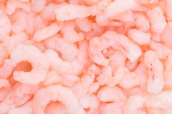 Los camarones congelados se consolidan como el producto estrella, desplazando a bienes que históricamente dominaban la tabla.