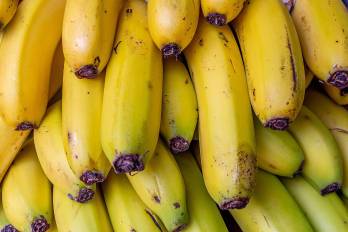 El banano es el rubro número uno de exportación del país.