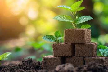 Economía del cambio climático y finanzas sostenibles: transformación para el desarrollo sostenible