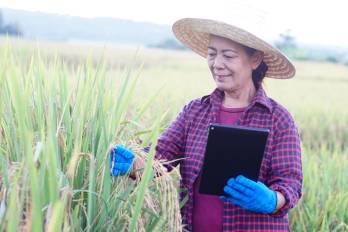 Los algoritmos y la IA en tiempos de la agricultura