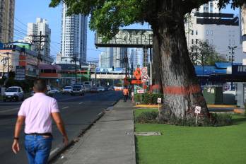 Desalojo en Río Abajo: 623 comercios denuncian falta de información ante ensanche de Vía España