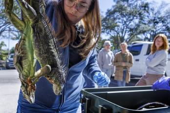 Clima extremo causa estragos en Europa y Estados Unidos