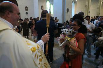 Bendición de los animales en el dia de San Francisco de Asis.