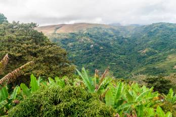 En mi querida tierra chorrerana, los hijos de la banda sanchista, sienten complacencia.