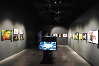 El museo abre con la promesa de ofrecer una mirada inmersiva al apasionante mundo de los descubrimientos.