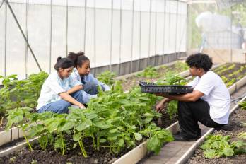 Una FCA al servicio de la nación