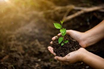 Gobernanza ambiental en Panamá: propuestas estratégicas
