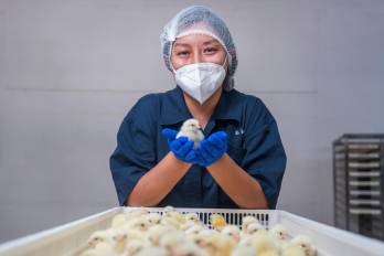 Cada inversión en bioseguridad es, en realidad, una póliza colectiva para 2025 para prevenir enfermedades.