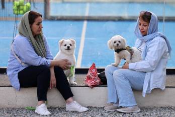 Iraníes se sientan con sus perros en un parque en Teherán el 8 de junio de 2025. Las autoridades iraníes han extendido la prohibición de pasear perros en público a varias ciudades del país, alegando motivos de salud pública, orden social y seguridad, según informaron medios locales el 8 de junio.